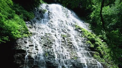 精密智能系统高端